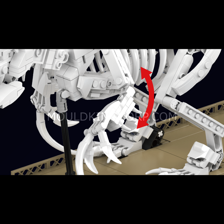 Mould King 29005 Mosasaurus & Velociraptor Fossil  Display Model Building Set | 1418 Pcs